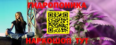 сатива Обнинск