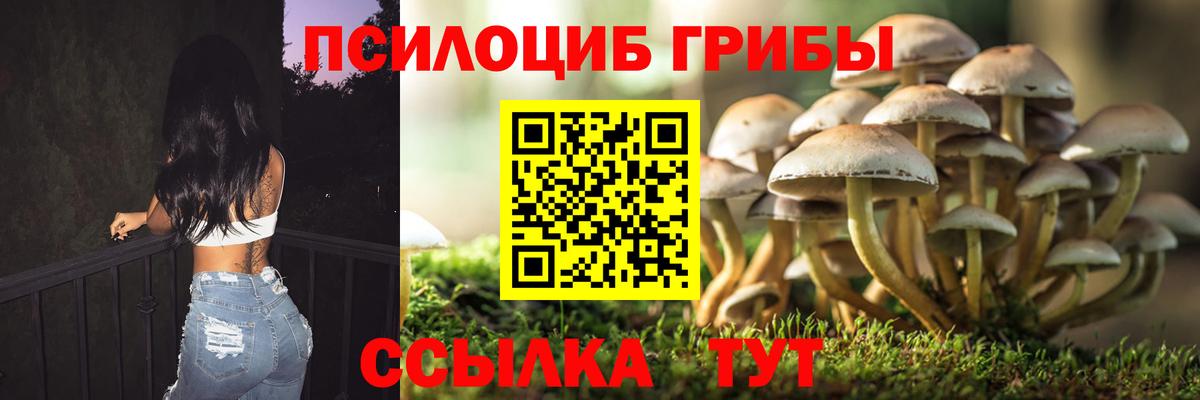 Псилоцибиновые грибы MAGIC MUSHROOMS  Вход с VPN  Тайшет  Галлюциногенные грибы мицелий 